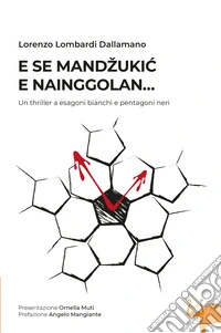E se Mandzukic e Nainggolan... Un thriller a esagoni bianchi e pentagoni neri libro