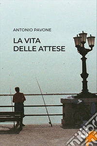 La vita delle attese libro
