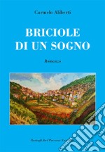 Briciole di un sogno libro