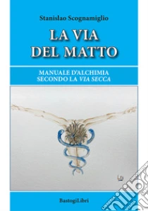 La via del matto. Manuale d'alchimia secondo la via secca