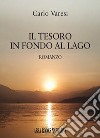 Il tesoro in fondo al lago libro