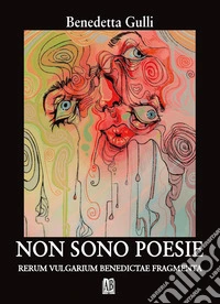 Non sono poesie. Rerum vulgarium benedictae fragmenta libro