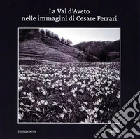 La Val d'Aveto nelle immagini di Cesare Ferrari. Ediz. illustrata libro