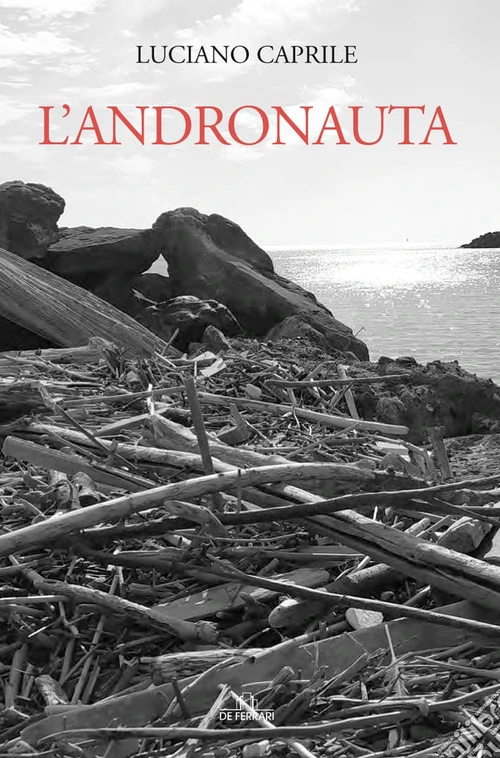 L'andronauta