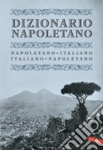 Dizionario napoletano libro