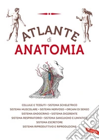 Atlante Di Anatomia