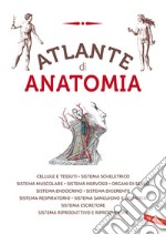 Atlante Di Anatomia libro