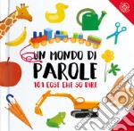 Un mondo di parole. Ediz. a colori libro