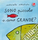 Sono piccolo o sono grande? Ediz. a colori libro