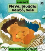 Neve, pioggia, vento o sole? Le stagioni. Ediz. a colori libro