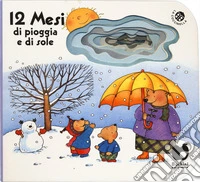 12 mesi di pioggia e di sole (edizione speciale disponibile per le librerie fisiche). Ediz. a colori libro