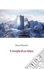 Il risveglio di un indaco libro