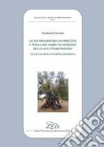 «Actio prohibitoria ususfructus» e tutela del corretto esercizio dello «ius utendi fruendi». Saggio di critica interpolazionistica libro