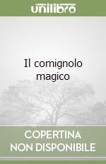 Il comignolo magico libro