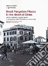 Small forgotten places in the heart of cities. On the residuality of public spaces in historical contexts: Florence as a case study libro
