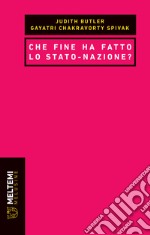 Che fine ha fatto lo stato-nazione? libro