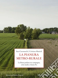 La pianura metro-rurale. La Bassa padana tra campagna, città medie e fiume Po libro
