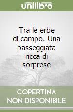 Tra le erbe di campo. Una passeggiata ricca di sorprese libro