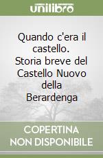 Quando c'era il castello. Storia breve del Castello Nuovo della Berardenga