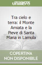 Tra cielo e terra: il Monte Amiata e la Pieve di Santa Maria in Lamula libro