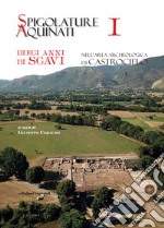 Spigolature Aquinati. Dieci anni di scavi nell'area archeologica di Castrocielo. Vol. 1 libro