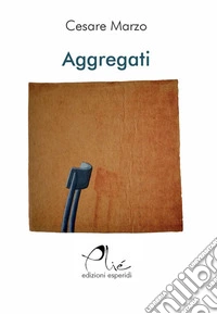 Aggregati libro
