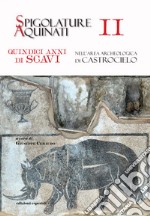 Spigolature Aquinati. Quindici anni di scavi nell'area archeologica di Castrocielo. Vol. 2 libro