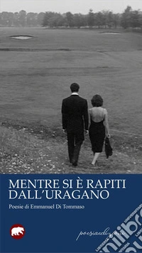 Mentre si è rapiti dall'uragano libro
