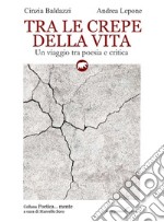 Tra le crepe della vita. Un viaggio tra poesia e critica libro