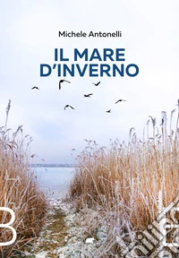 Il mare d'inverno