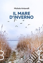 Il mare d'inverno libro