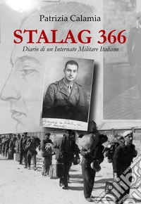 Stalag 366. Diario di un Internato Militare Italiano libro