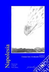 Napolesía libro