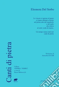 Canti di pietra libro