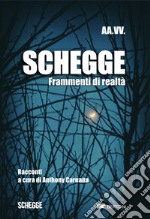 Schegge. Frammenti di realtà libro