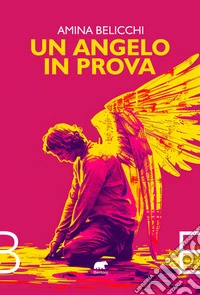 Un angelo in prova libro