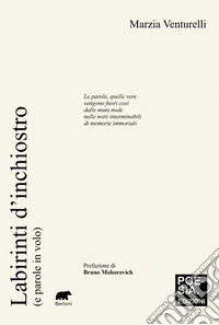 Labirinti d'inchiostro (e parole in volo) libro
