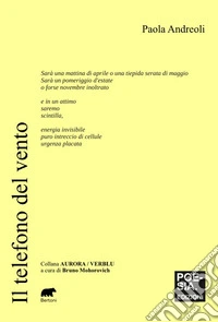 Il telefono del vento libro
