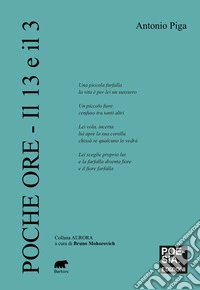 Poche ore. Il 13 e il 3 libro