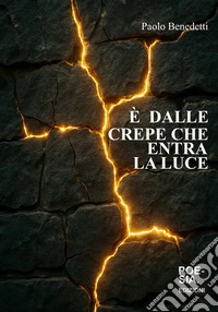 È dalle crepe che entra la luce libro
