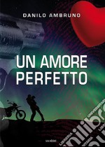 Un amore perfetto libro