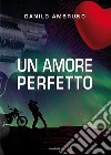 Un amore perfetto libro