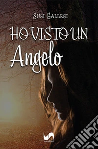 Ho visto un angelo libro