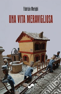 Una vita meravigliosa libro