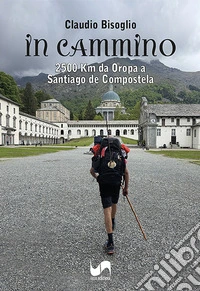 In cammino. 2500 Km da Oropa a Santiago de Compostela libro