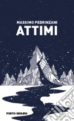 Attimi libro