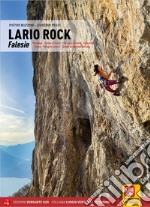 Lario Rock. Falesie. Resegone - Falesie di Lecco - Alto Lario orientale - Valsassina - Grigne - Triangolo Lariano - Sponda occidentale del Lago. Con App libro