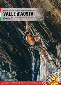 Valle d'Aosta Falesie. Vol. 1: Valchiusella, Canavese, Bassa Valle d'Aosta, Valle di Gressoney, Valle di Champorcher, Val d'Ayas, Valtournenche libro