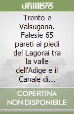 Trento e Valsugana. Falesie 65 pareti ai piedi del Lagorai tra la valle dell'Adige e il Canale di Brenta. Ediz. inglese libro