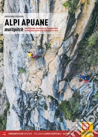 Alpi Apuane. Multipitch Pizzo d'Uccello, Corchia, Panie, Procinto e tutte le altre grandi pareti tra la Garfagnana e il mare. Ediz. illustrata